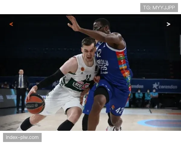 艾菲斯新援适应欧洲比赛 表现起伏影响球队